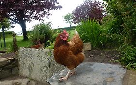 Kidwelly Farmhouse B&B
